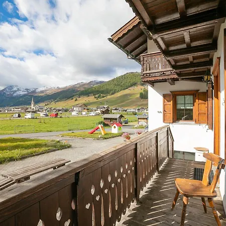 Rododendro Livigno