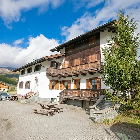 Rododendro * Livigno