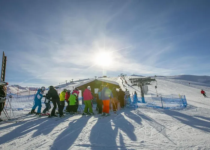 Rododendro Livigno