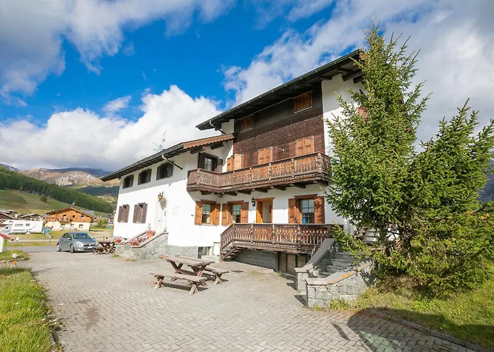 Rododendro * Livigno
